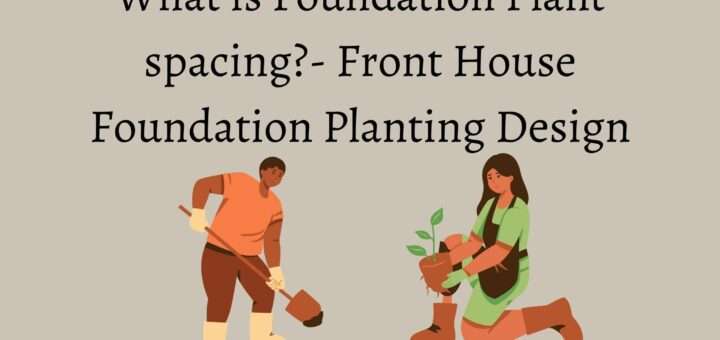 What is Foundation Plant spacing?- Front House Foundation Planting Design