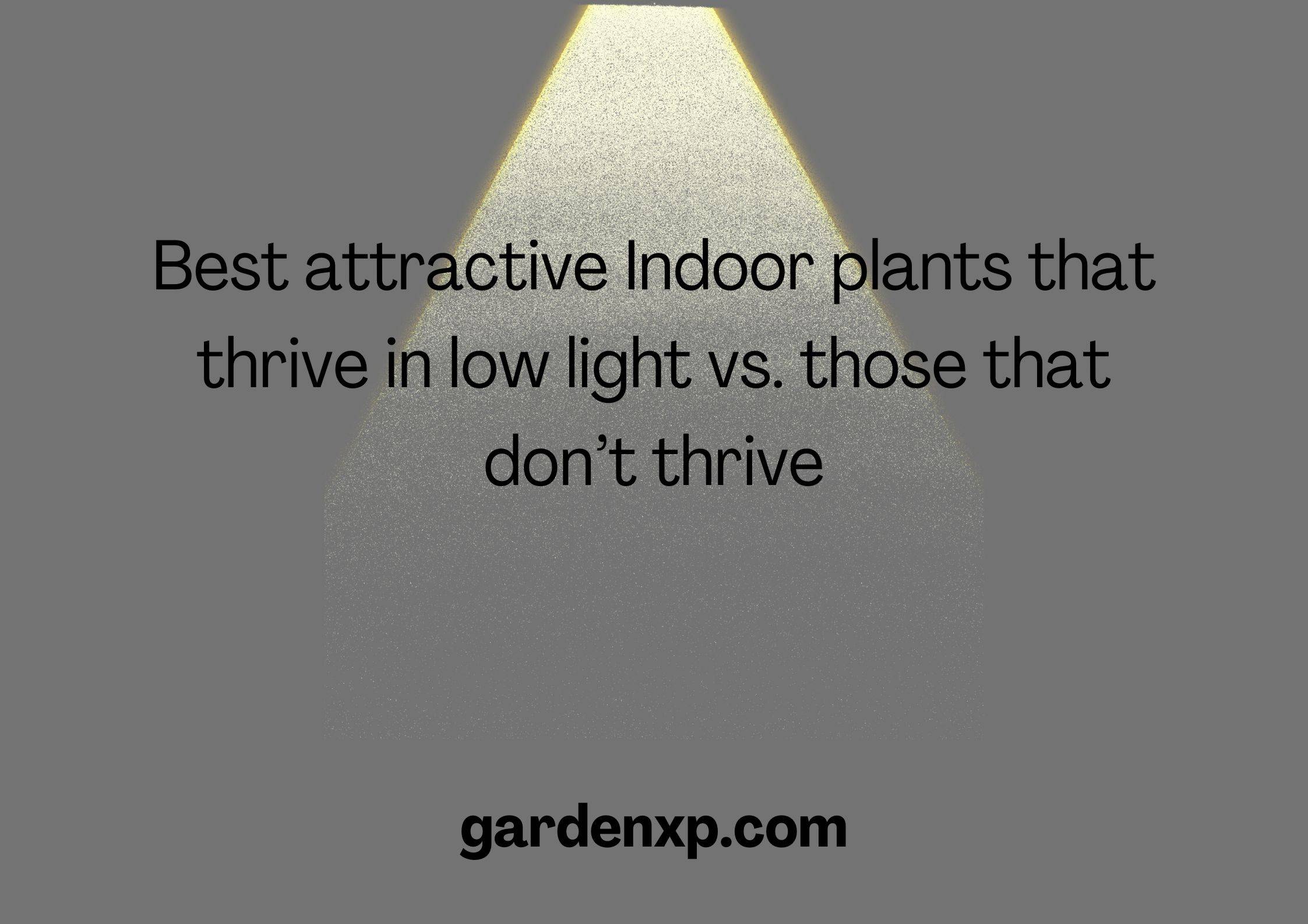 7 Best Indoor trees that thrive in low light and 5 that won't