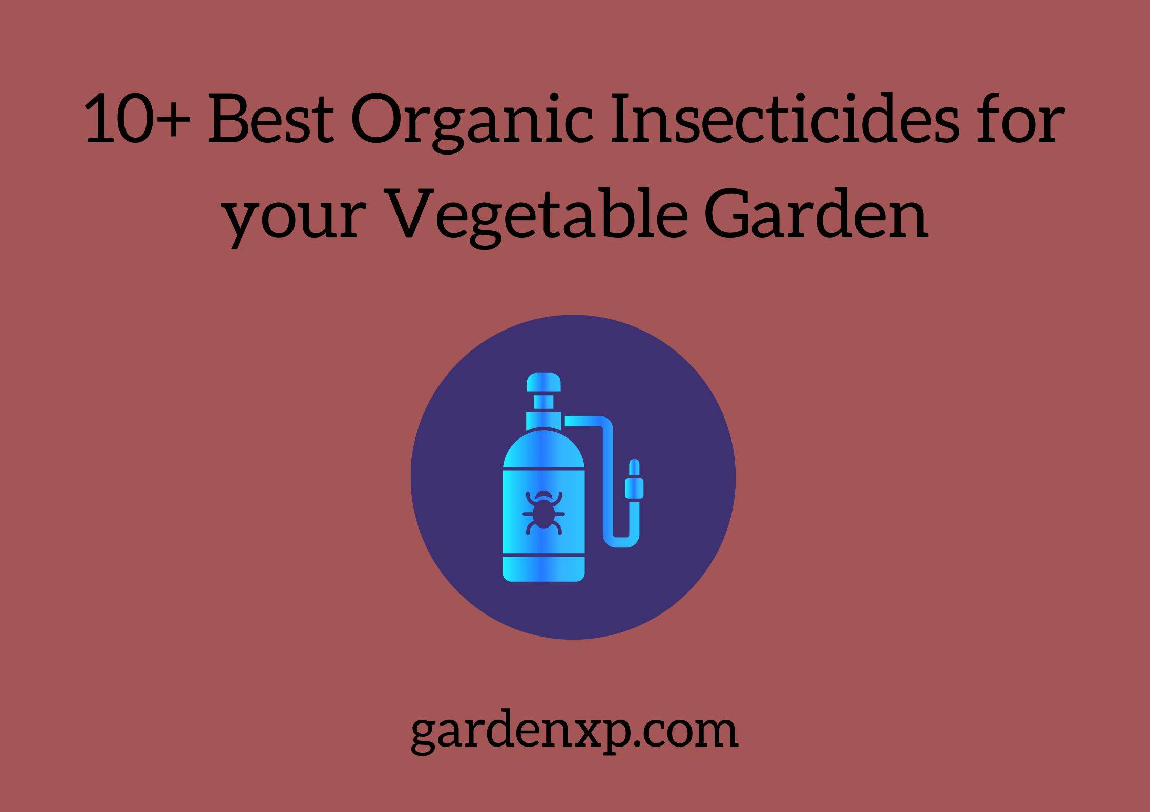 10+ Best Organic Insecticides for your Vegetable Garden
