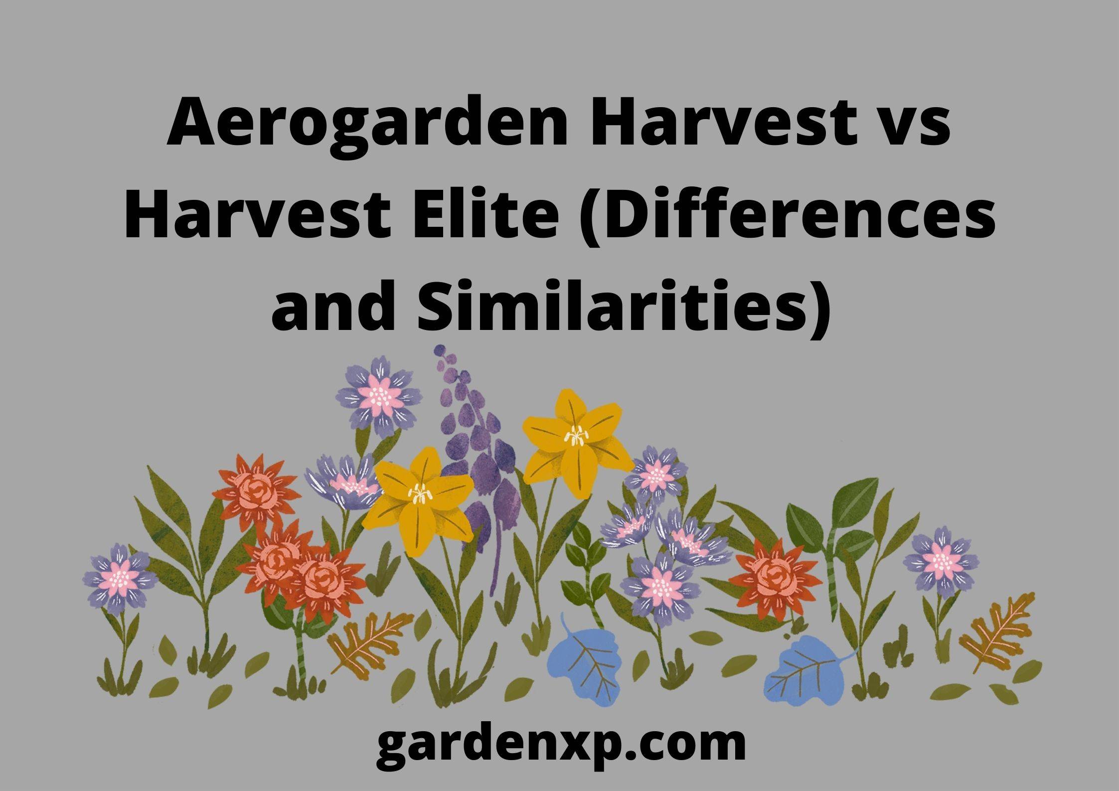 Aerogarden Harvest vs Harvest Elite (Differences and Similarities) 
