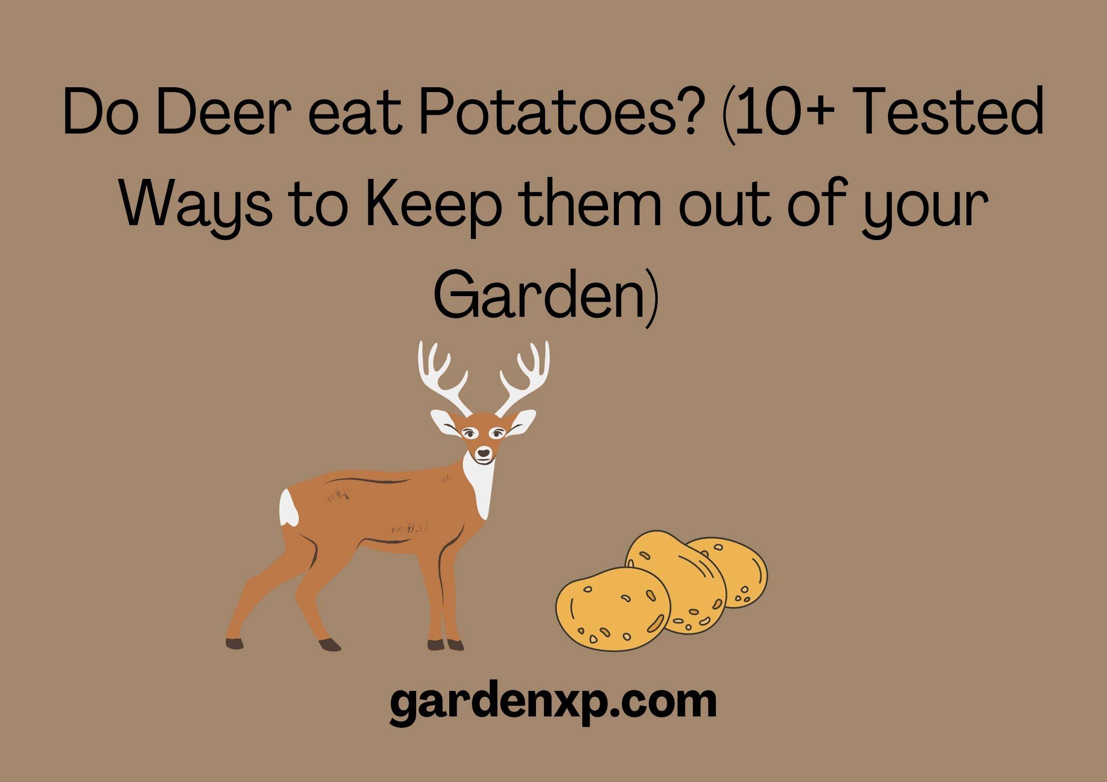 Do Deer eat Potatoes? (10+ Tested Ways to Keep them out of your Garden) 