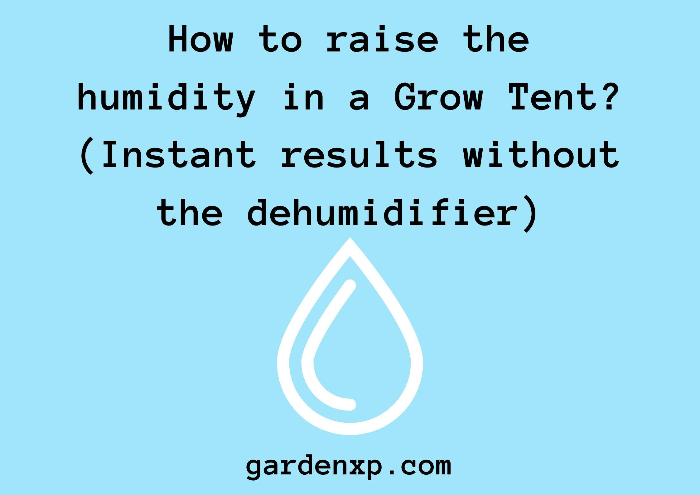 How to raise the humidity in a Grow Tent? (Instant results without the dehumidifier)