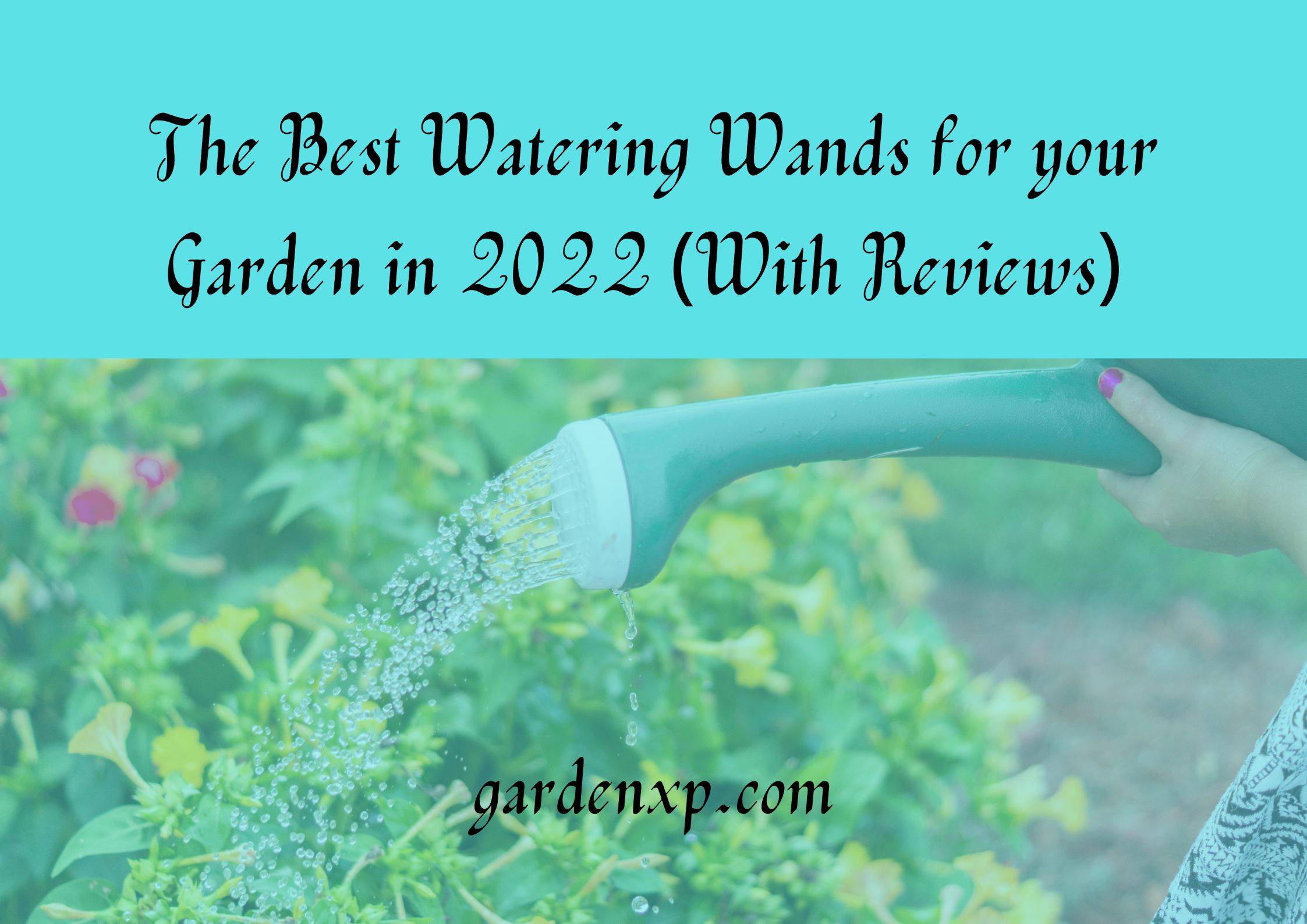 The Best Watering Wands for your Garden in 2022 (With Reviews) 