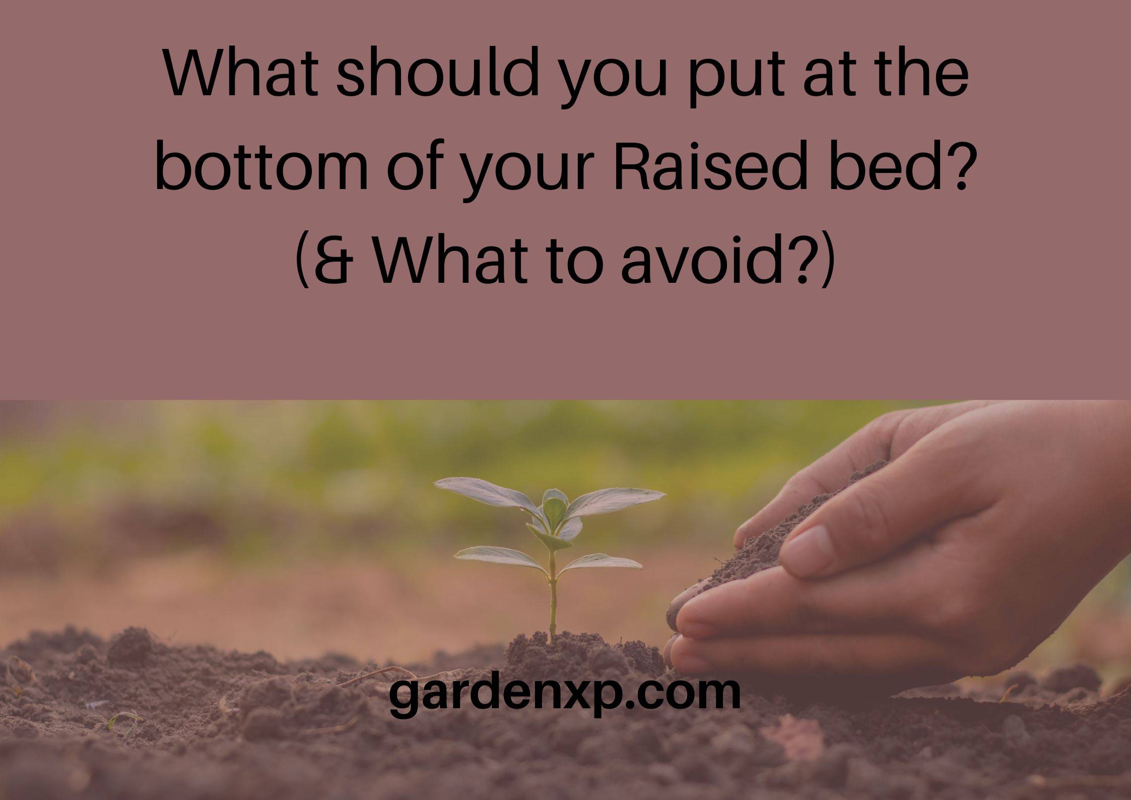 What should you put at the bottom of your Raised bed? (& What to avoid?)