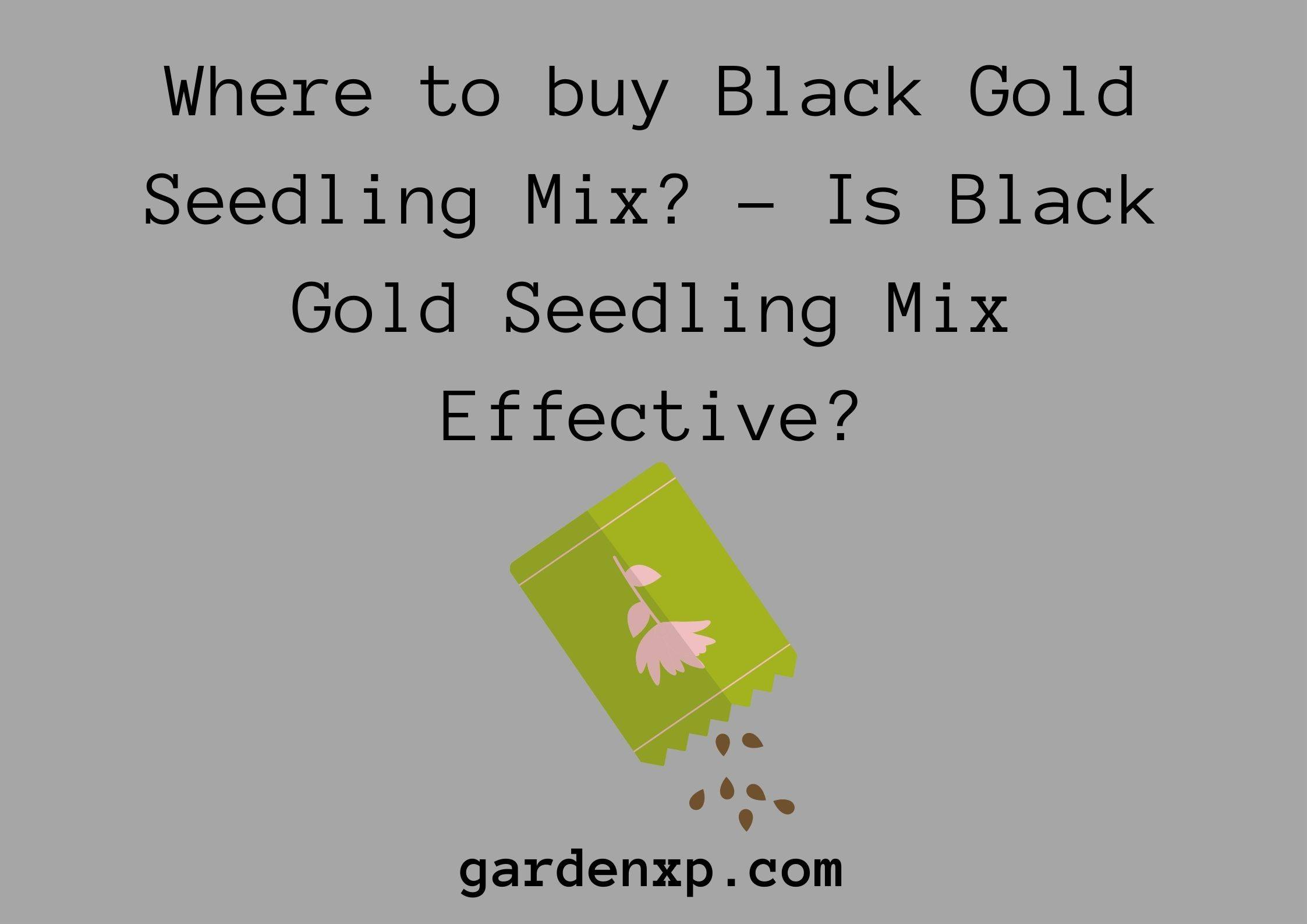 Where to buy Black Gold Seedling Mix? - Is Black Gold Seedling Mix Effective?