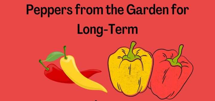 3+ Best ways to Store your Peppers from the Garden for Long-Term