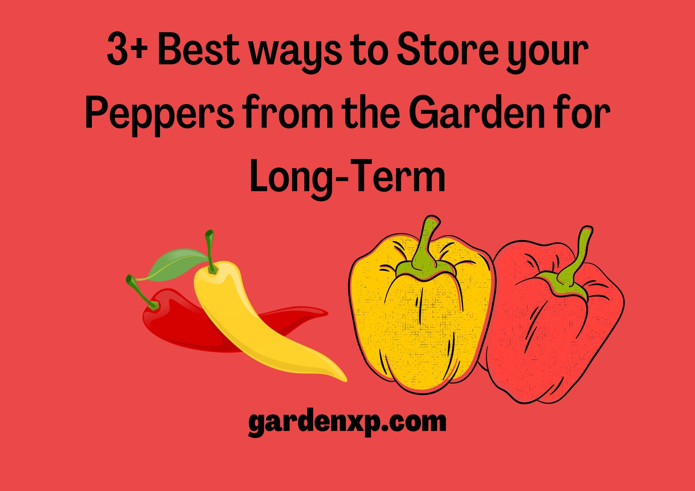 3+ Best ways to Store your Peppers from the Garden for Long-Term