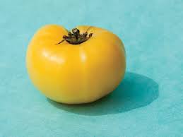 Dwarf Mr. Snow tomato
