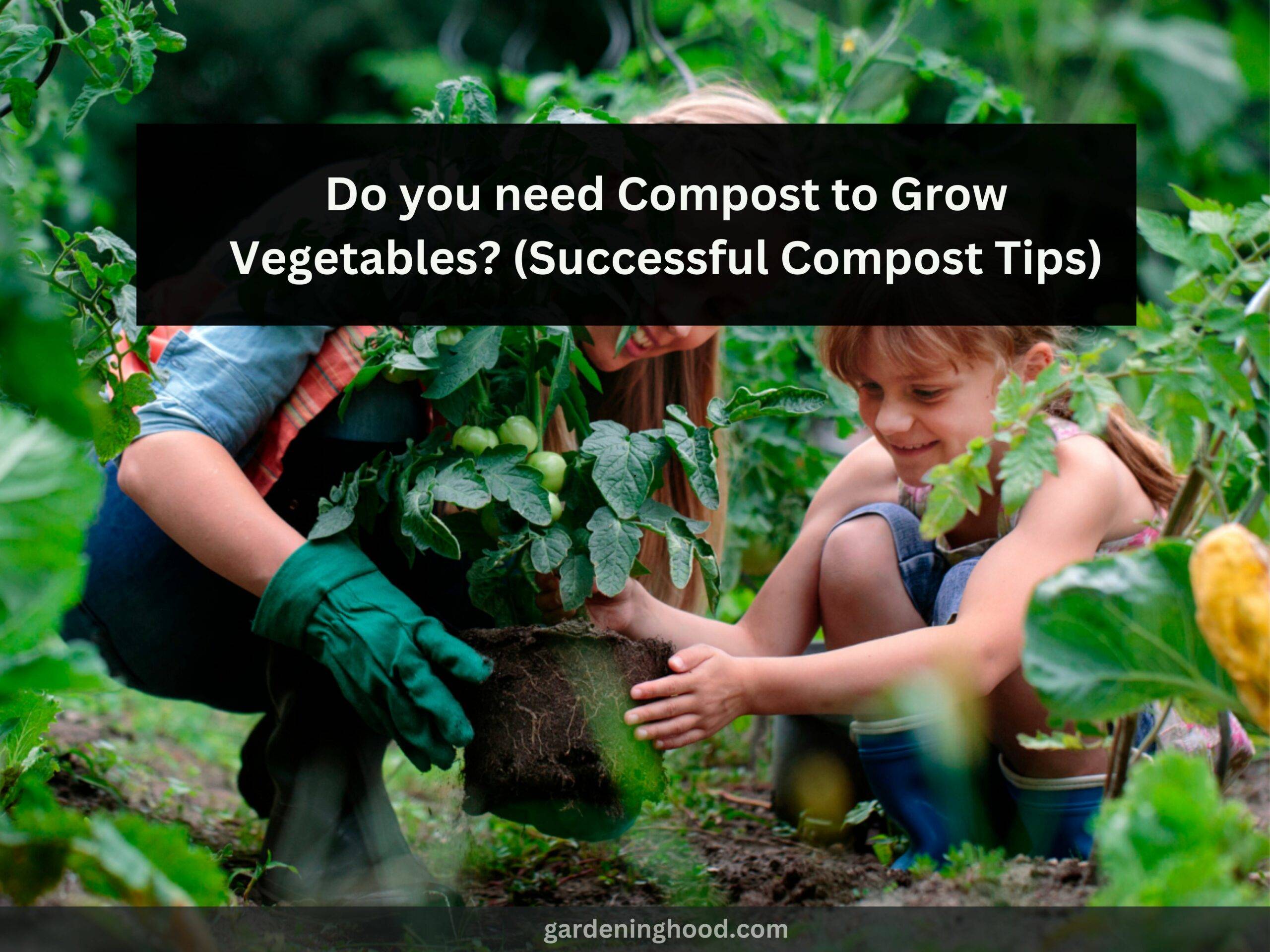 Do you need Compost to Grow Vegetables? (Successful Compost Tips)