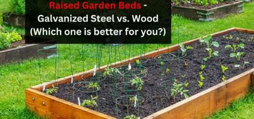 Raised Garden Beds - Galvanized Steel vs. Wood (Which one is better for you?)