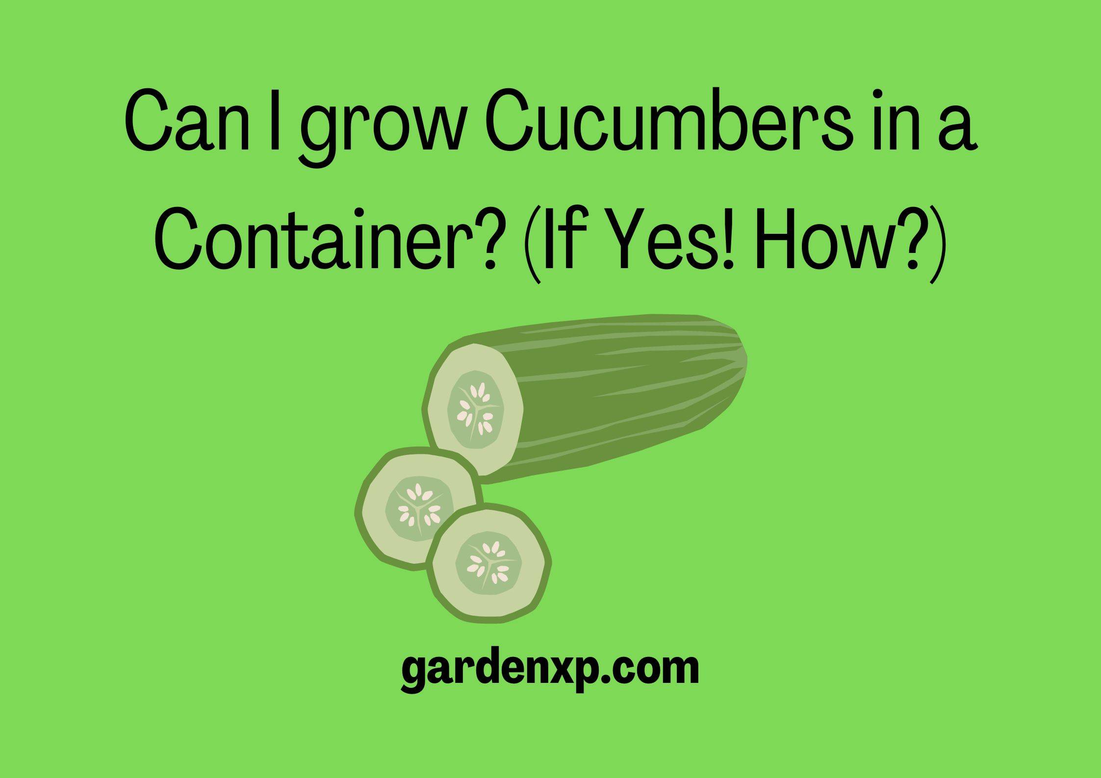 Can I grow Cucumbers in a Container? (If Yes! How?)