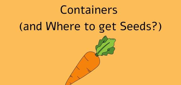 Top 7 Carrot Varieties for Containers (and Where to get Seeds?)