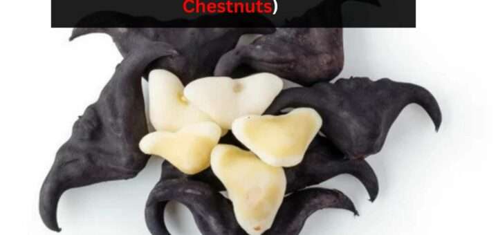 What are Bat Nuts? - Is bat nut edible? What are the benefits of bat nuts(Water Chestnuts)