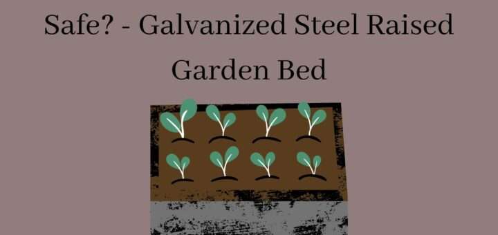 Are Galvanized Steel Garden Beds Safe? - Galvanized Steel Raised Garden Bed