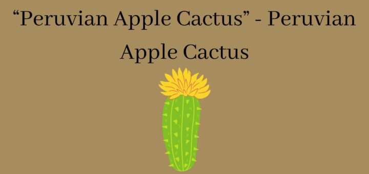 Cereus Peruvianus - Growing the “Peruvian Apple Cactus” - Peruvian Apple Cactus