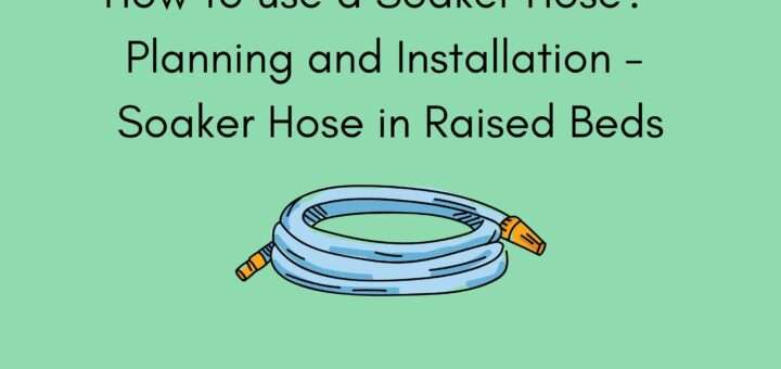 How to use a Soaker Hose? - Planning and Installation - Soaker Hose in Raised Beds