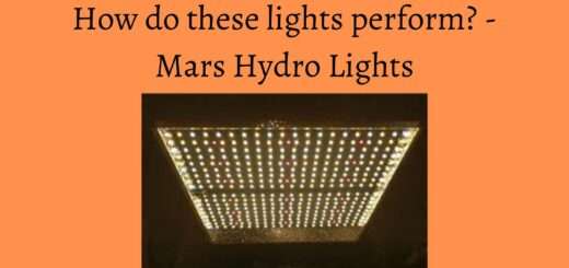 Mars Hydro Review - How do these lights perform? - Mars Hydro Lights