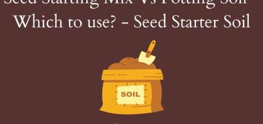 Seed Starting Mix Vs Potting Soil - Which to use? - Seed Starter Soil