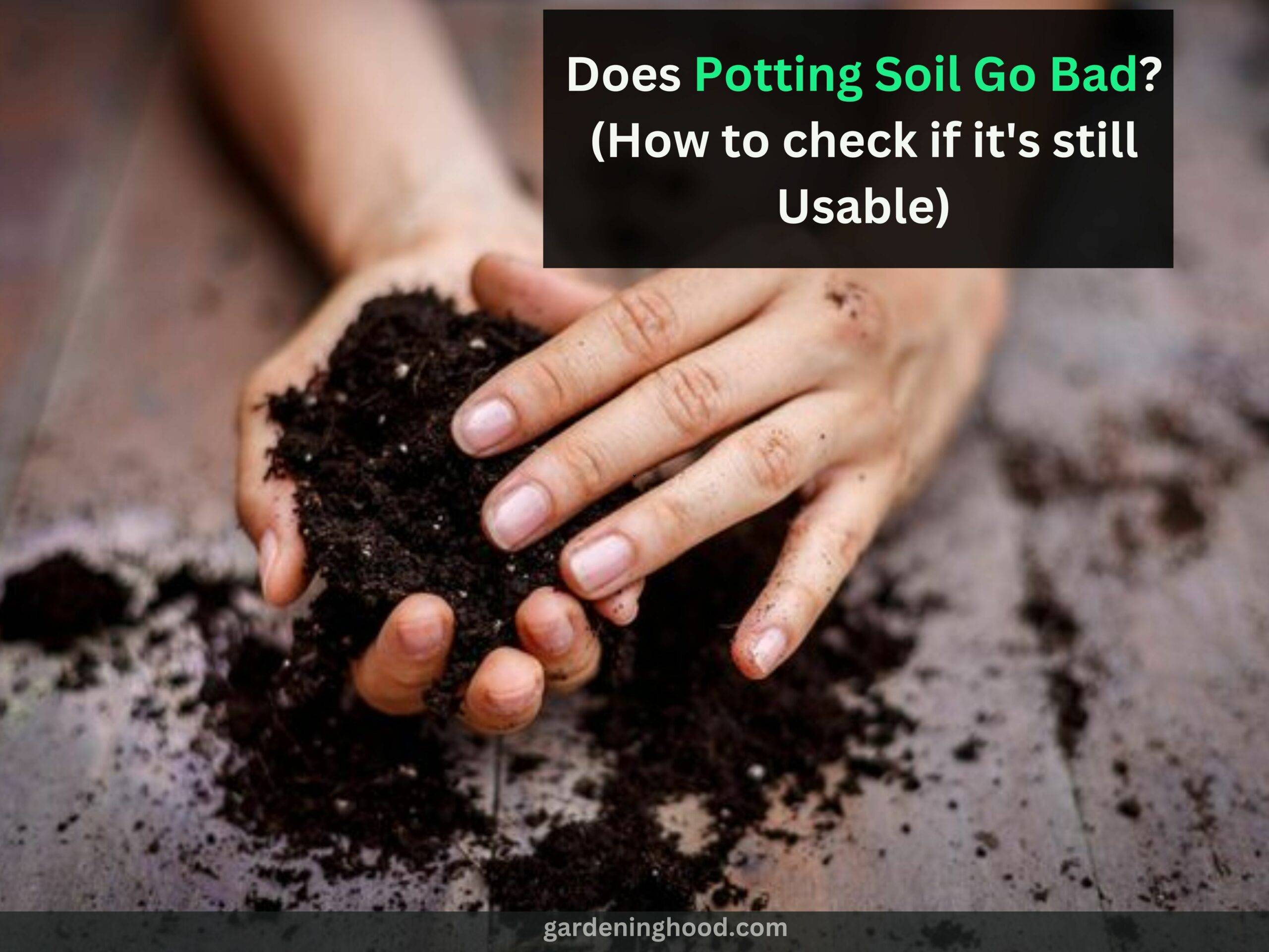 Does Potting Soil Go Bad? (How to check if it's still Usable)