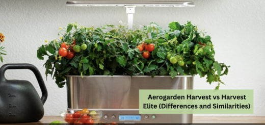 Aerogarden Harvest vs Harvest Elite (Differences and Similarities) 