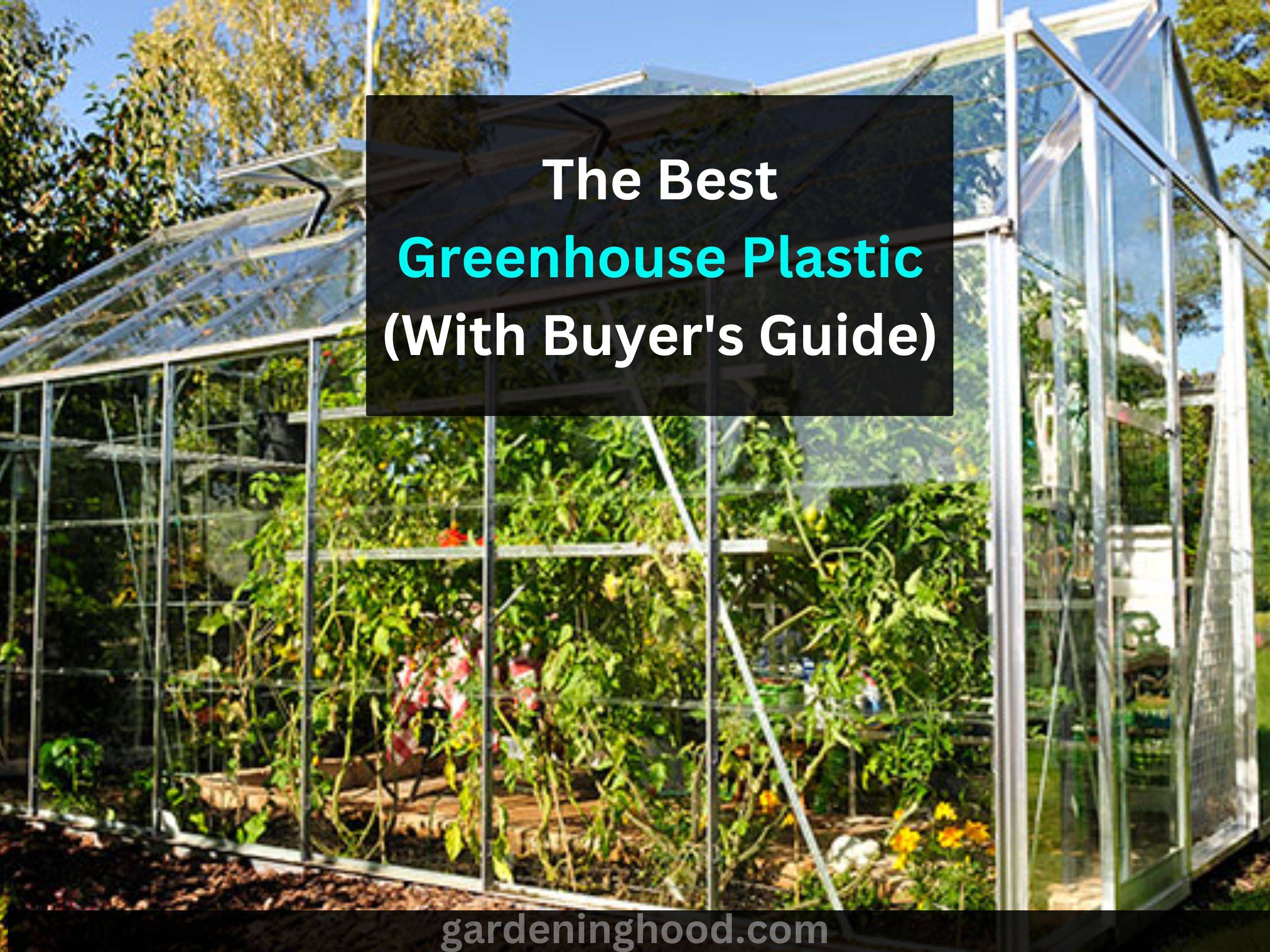 The Best Greenhouse Plastic (With Buyer's Guide)
