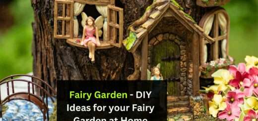 Fairy Garden - DIY Ideas for your Fairy Garden at Home