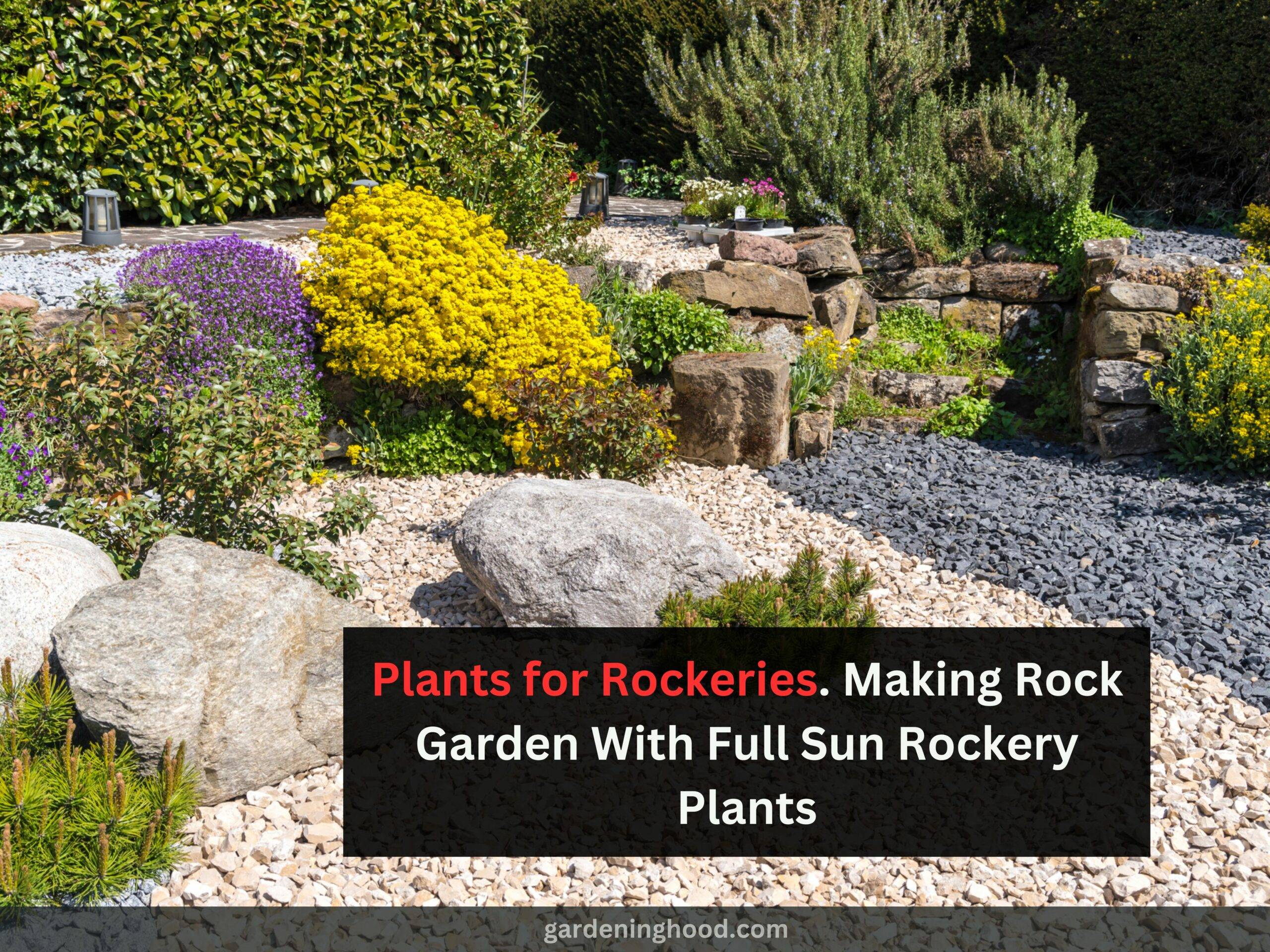 Plants for Rockeries- Making Rock Garden With Full Sun Rockery Plants