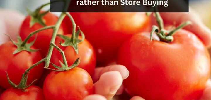 6 Benefits of Growing Tomatoes rather than Store Buying