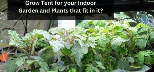 How to Choose the right size Grow Tent for your Indoor Garden and Plants that fit in it?