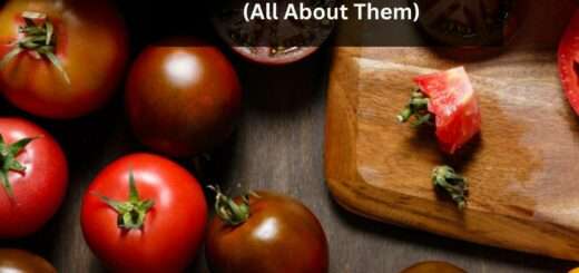 What are Heirloom Tomatoes? (All About Them)