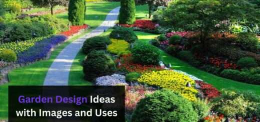 Garden Design Ideas with Images and Uses