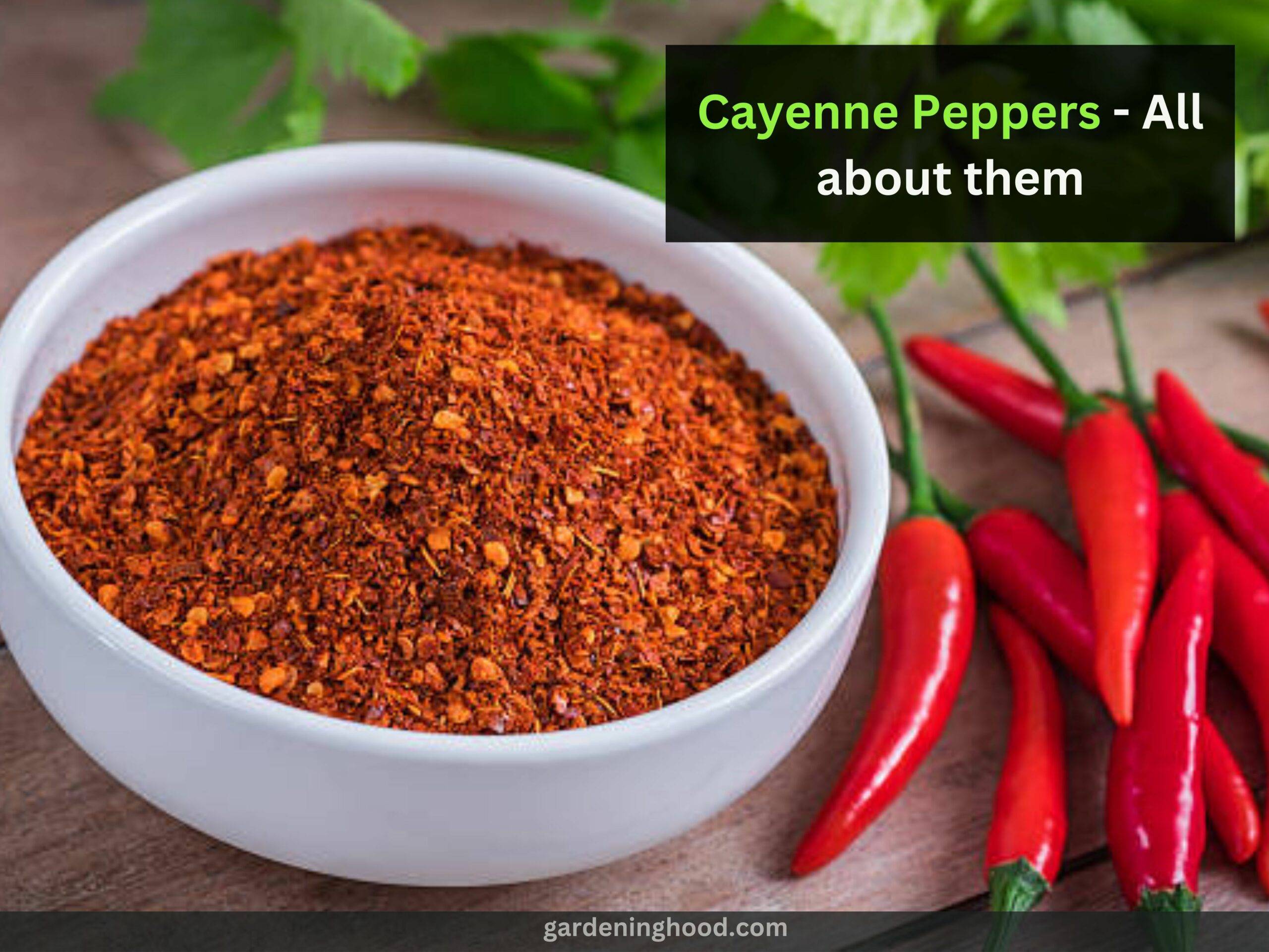 Cayenne Peppers - All about them