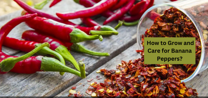 Cayenne Pepper Substitutes (Red Pepper Flakes & More)