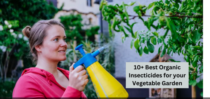 10+ Best Organic Insecticides for your Vegetable Garden