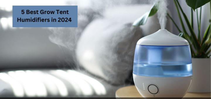 5 Best Grow Tent Humidifiers in 2024 (& How to choose one?)