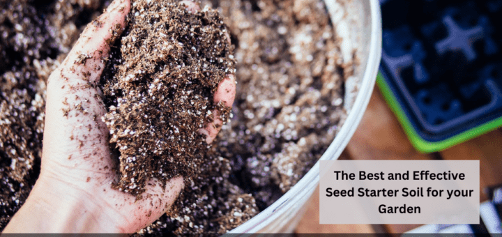 The Best and Effective Seed Starter Soil for your Garden