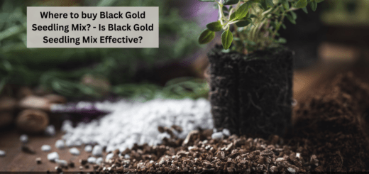 Where to buy Black Gold Seedling Mix? - Is Black Gold Seedling Mix Effective?