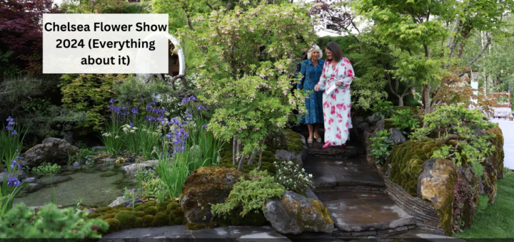 Chelsea Flower Show 2024 (Everything about it)