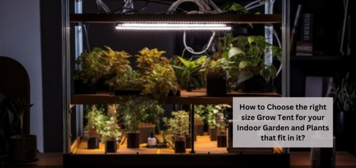 How to Choose the right size Grow Tent for your Indoor Garden and Plants that fit in it?