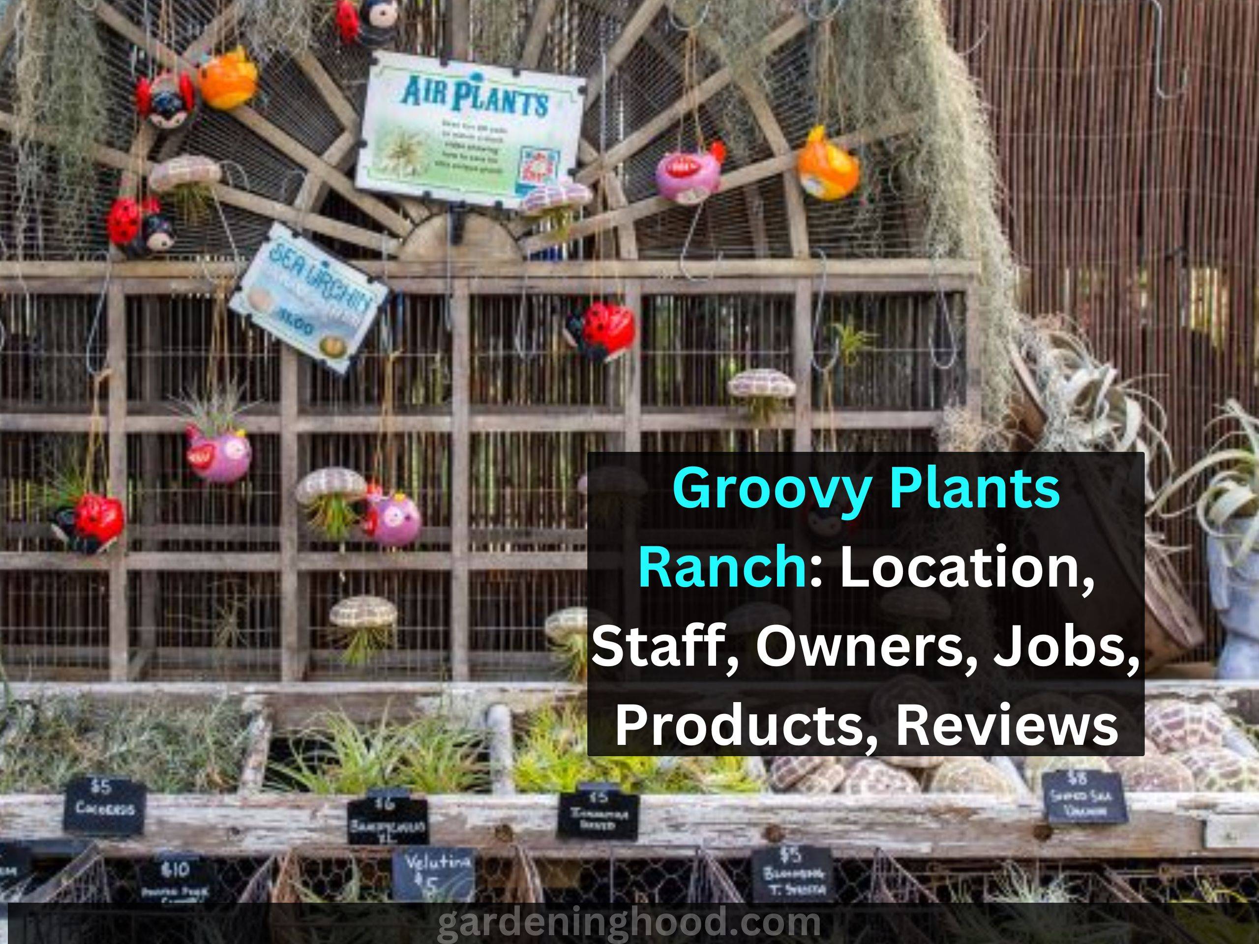 Groovy Plants Ranch: Location, Staff, Owners, Jobs, Products, Reviews, and Everything In Between