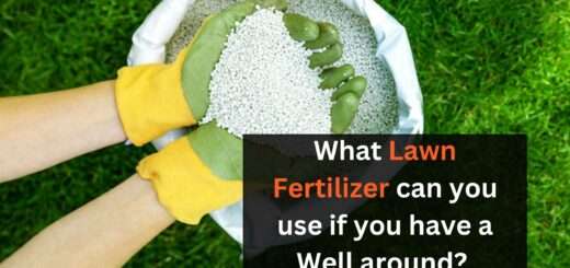 What Lawn Fertilizer can you use if you have a Well around?