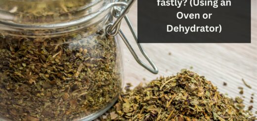 How to Dry Basil fastly? (Using an Oven or Dehydrator)