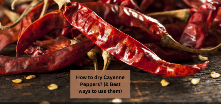 How to dry Cayenne Peppers? (& Best ways to use them)