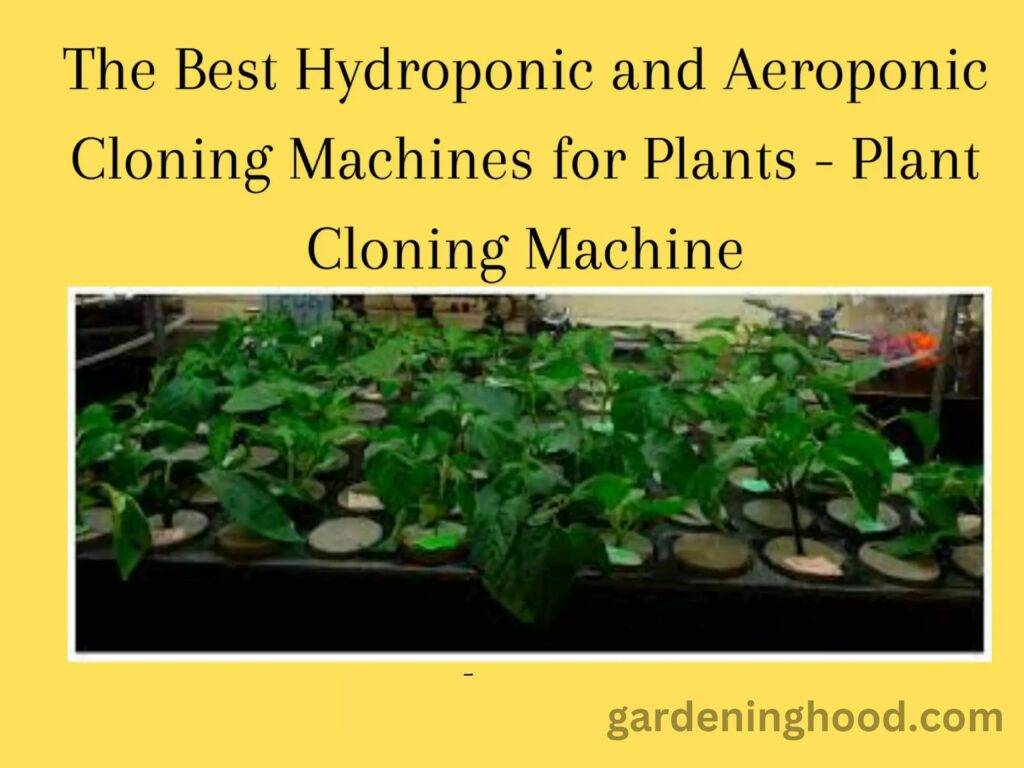 The Best Hydroponic and Aeroponic Cloning Machines for Plants - Plant ...