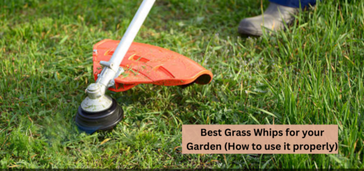 5 Best Grass Whips for your Garden (How to use it properly)