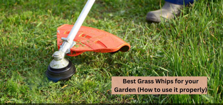 5 Best Grass Whips for your Garden (How to use it properly)