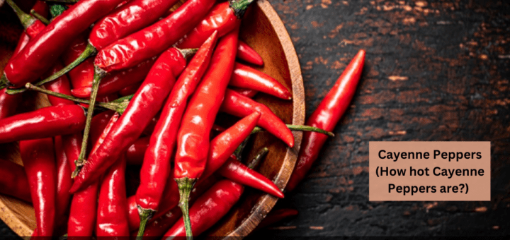 Cayenne Peppers - All about them - (How hot Cayenne Peppers are?) 