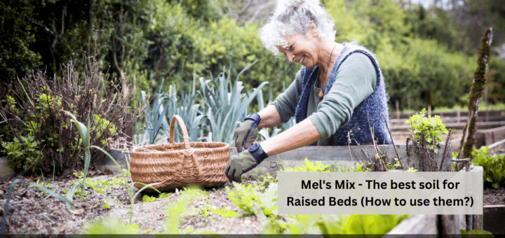 Mel's Mix - The best soil for Raised Beds (How to use them?)