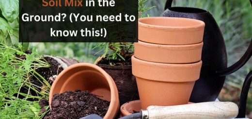 Can you use Potting Soil Mix in the Ground? (You need to know this!)