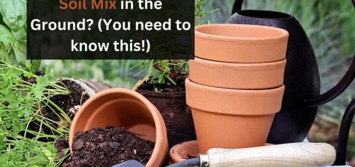 Can you use Potting Soil Mix in the Ground? (You need to know this!)